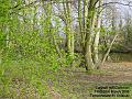 2005-0328cannonhill