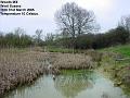 2005-0331woodsmill