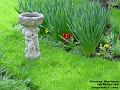 2005-0408williamsrd