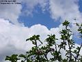 2005-0419clouds