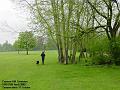 2005-0425chc
