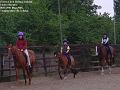 2005-0528horses
