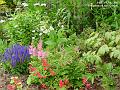 2005-0703flowerbed
