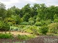 2005-0814wisley