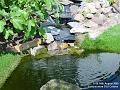 2005-0816waterfall
