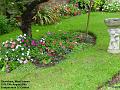 2005-0819williamsrd