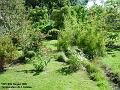 2005-0830garden