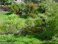 2005-0902garden