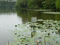 2005-0930slaugham