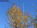 2005-1027beech