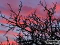 2005-1222sunsetshoreham