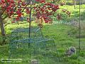 2005-1224squirrel