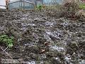 2005-1229littlesnow