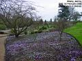 2005-02_February