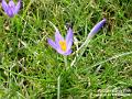 2005-03_March