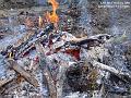 2006-0205flames