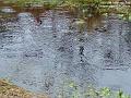 2006-0212pond