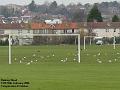 2006-0218busheymead