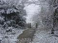 2006-0223boxhillsnow