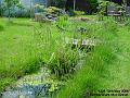 2006-0512stream