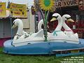 2006-0513fairswans