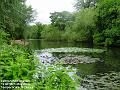 2006-0526CannonHill