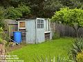 2006-0601HildesShed