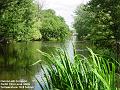 2006-0622CannonHill