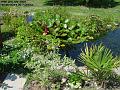 2006-0702pond