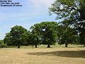 2006-0729mordenpark