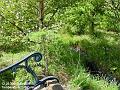2006-0730Stream