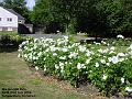 2006-0731mordenhall
