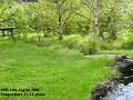 2006-0827forest