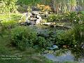 2006-0907garden