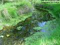 2006-0917stream
