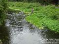 2006-0928wandle