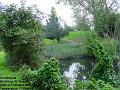 2006-1003brooklandd