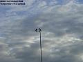 2006-1021crows