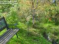 2006-1029forest