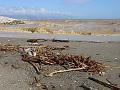 2006-1109-1310_Malaga_Spain_20C