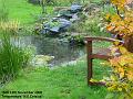 2006-1114pond