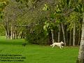 2006-1123cannonhillcommon