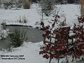 2007-0208snow