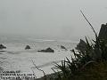 2007-0315PunakaikiNZ