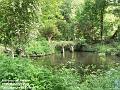 2007-0515mhallpark