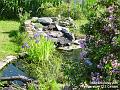 2007-0522pondish
