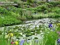2007-0525wisley
