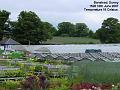 2007-0618banstead
