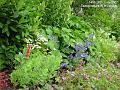 2007-0628border