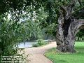 2007-0726CannonHillCommon
